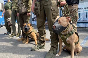 На пляжах Одессы заработали полицейские станции